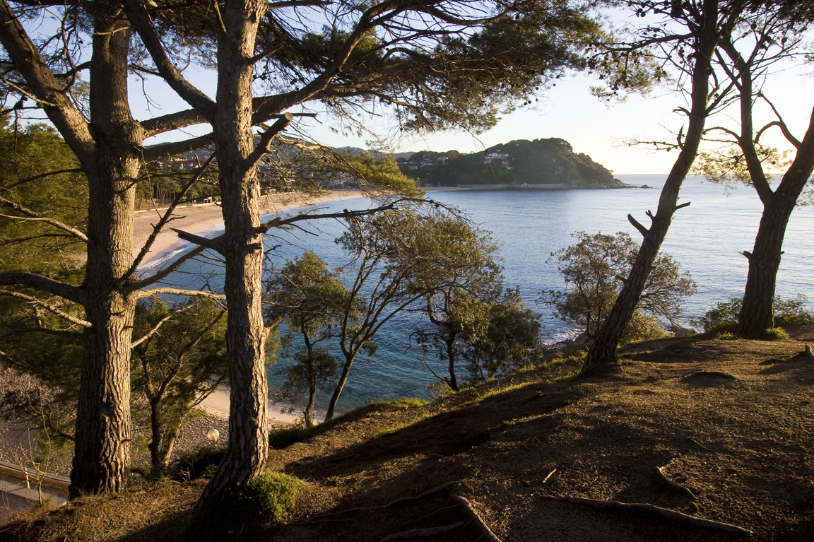 1.A Hotel Demo Obehotel